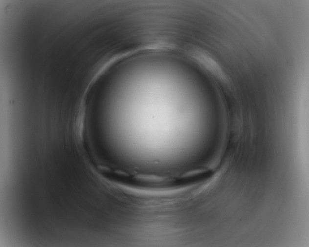 X0000092311228200709211243