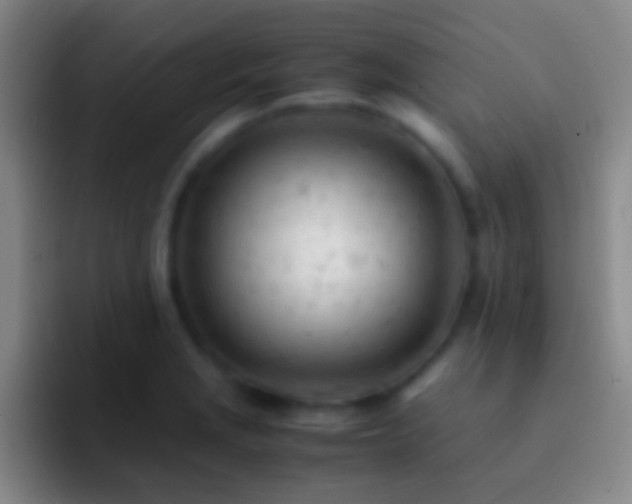 X0000092311229200709211243