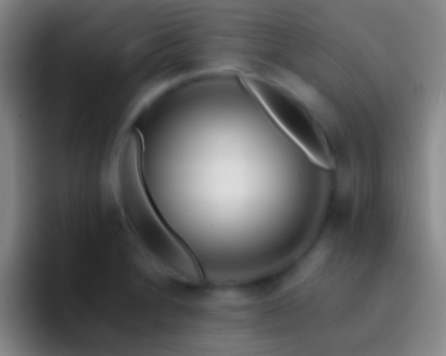 X0000092311230200709211243