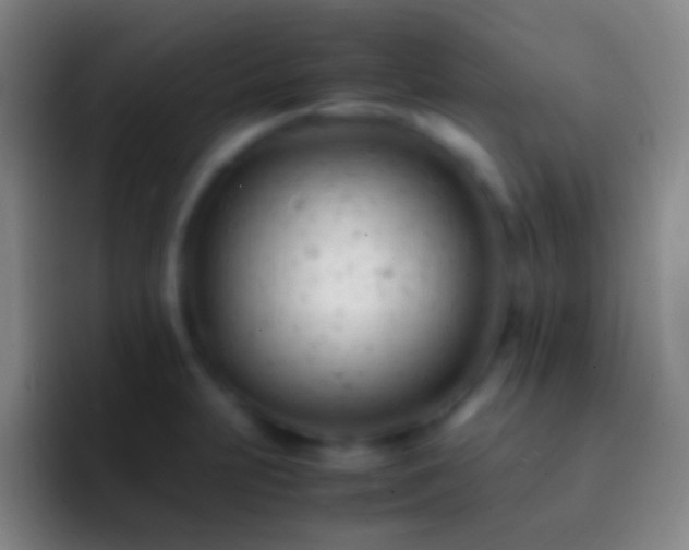 X0000092311231200709211243