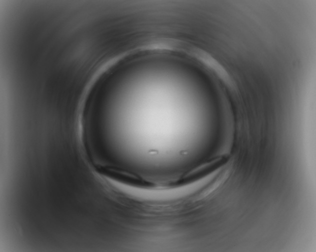 X0000092311232200709211243