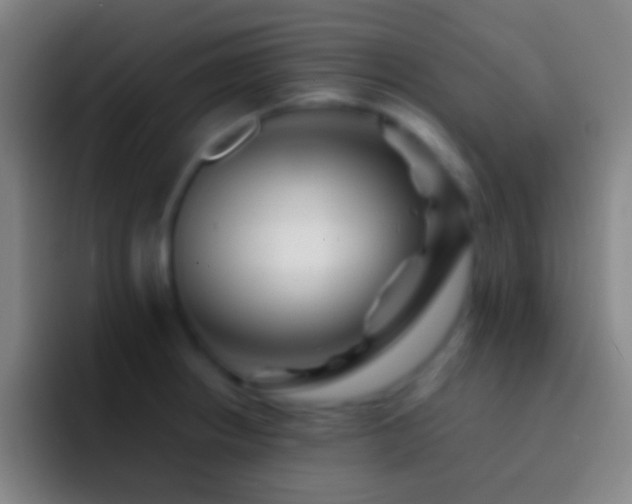 X0000092311234200709211243