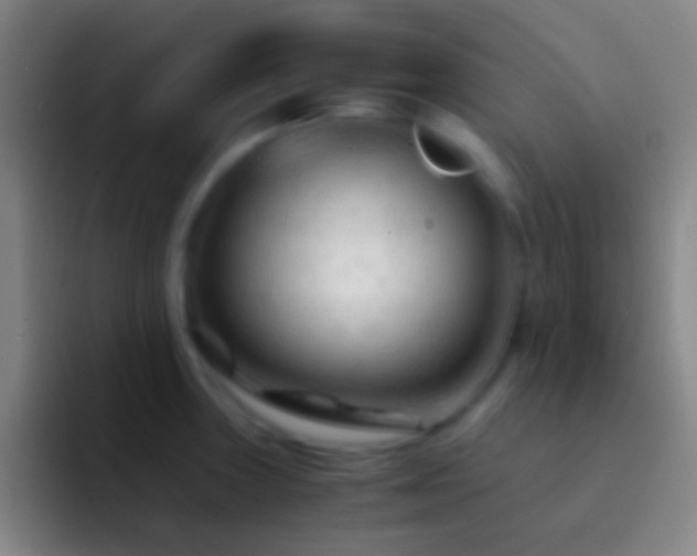 X0000092311235200709211243
