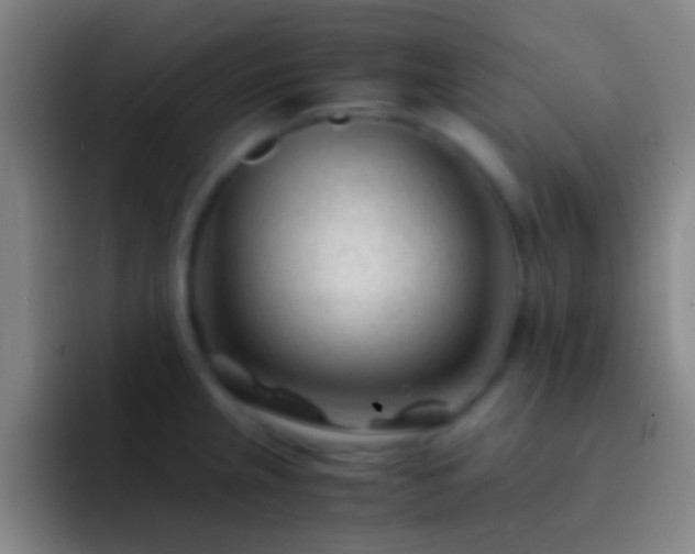 X0000092311237200709211243