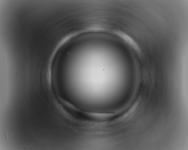 X0000092311238200709211243