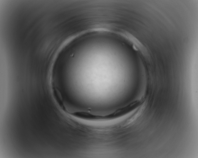 X0000092311240200709211243