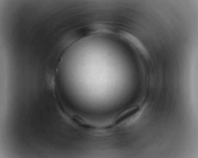 X0000092311241200709211243