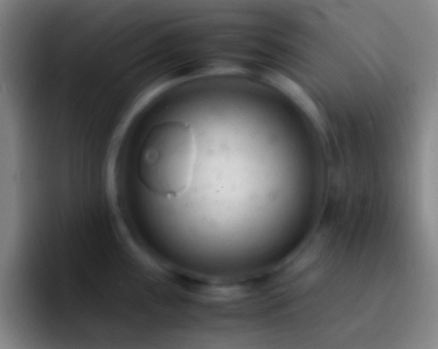 X0000092311243200709211243