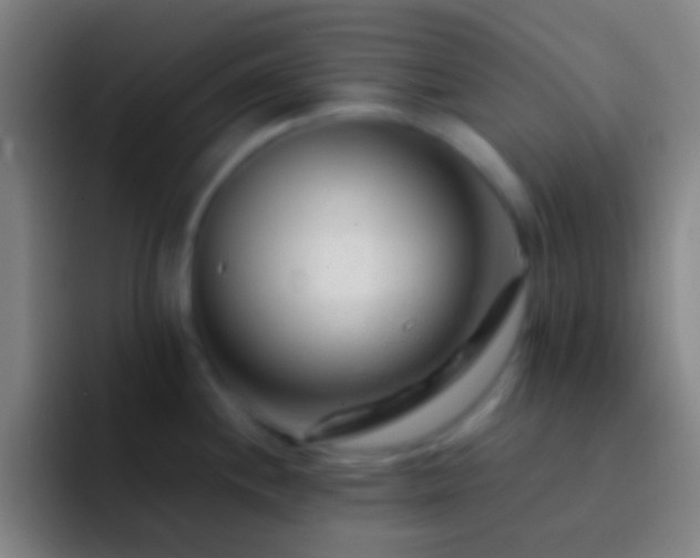 X0000092311244200709211243