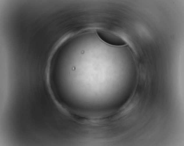 X0000092311245200709211243