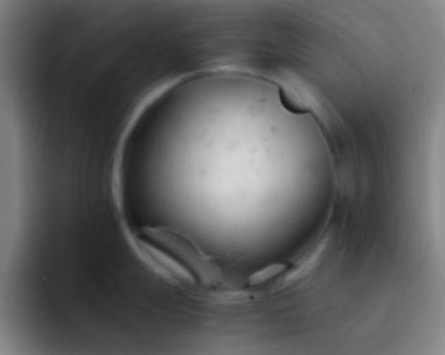 X0000092311247200709211243