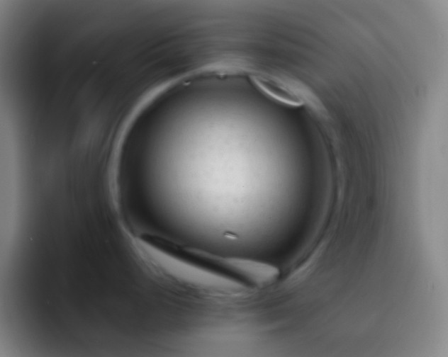 X0000092311248200709211243