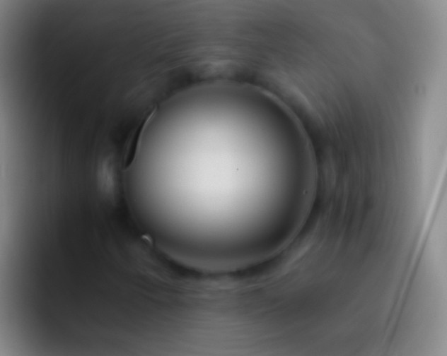 X0000092311250200709211243