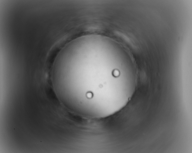 X0000092311254200709211243