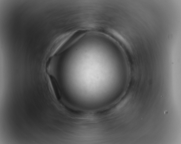 X0000092311259200709211243