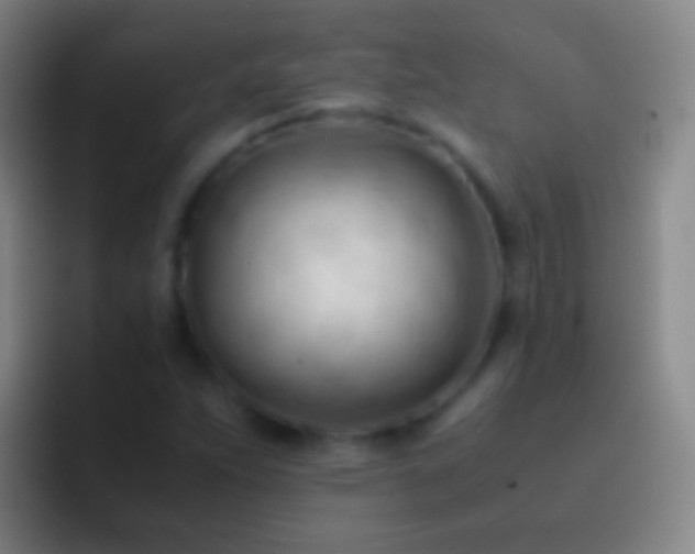 X0000092311263200709211243