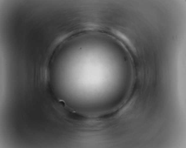 X0000092311267200709211243