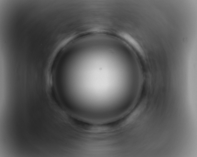 X0000092311269200709211243