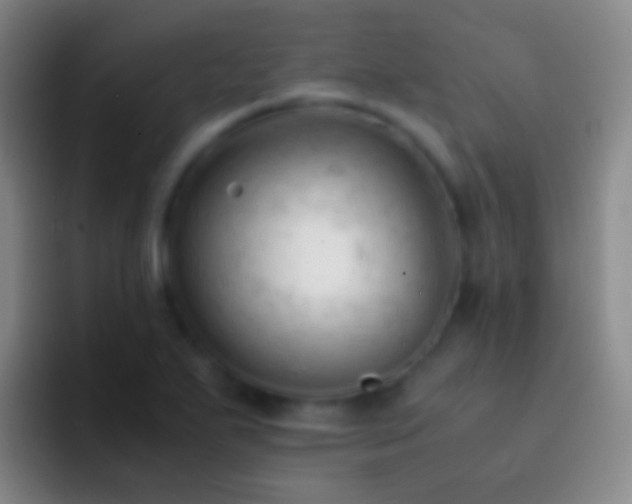 X0000092311271200709211243