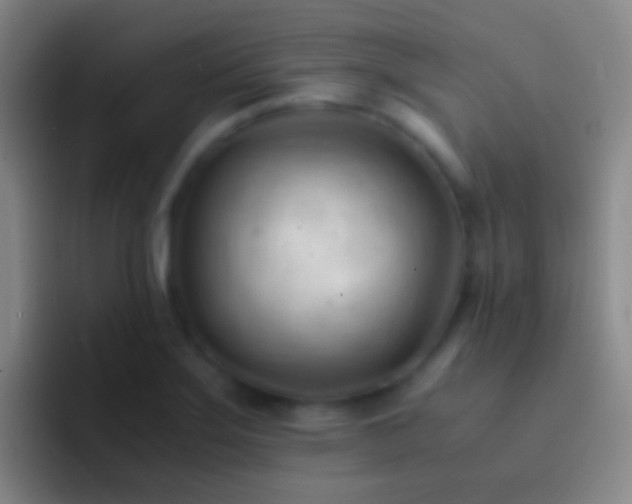 X0000092311275200709211243