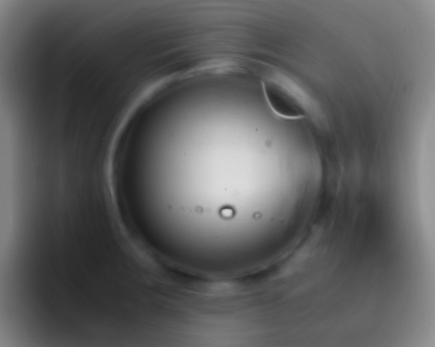 X0000092311283200709211242