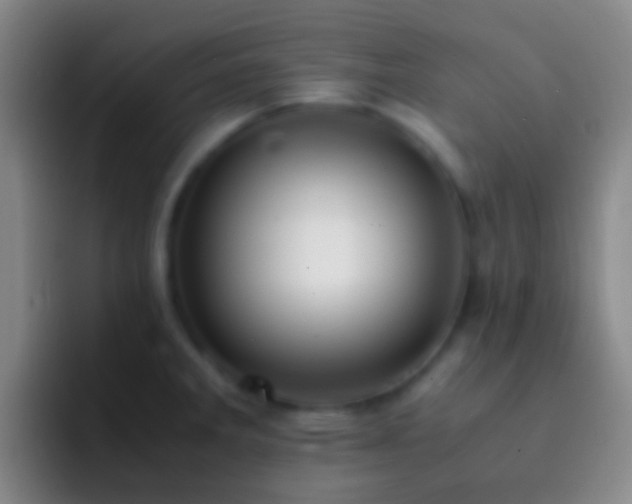 X0000092311285200709211242
