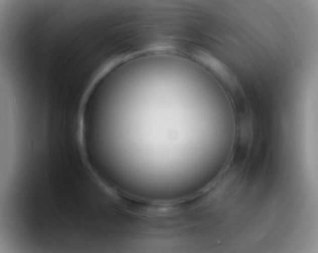 X0000092311286200709211242