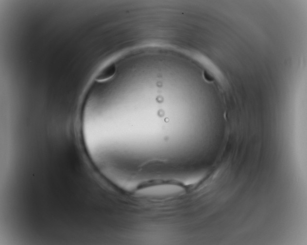 X0000092311287200709211242