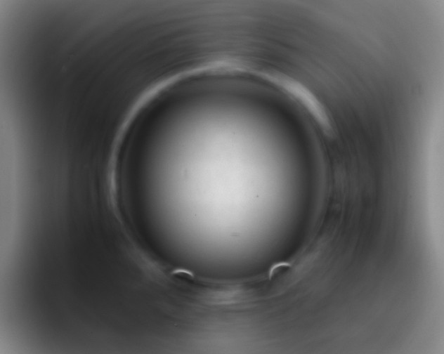 X0000092311288200709211242