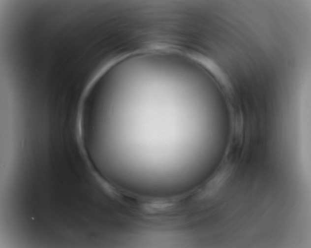 X0000092311294200709211242