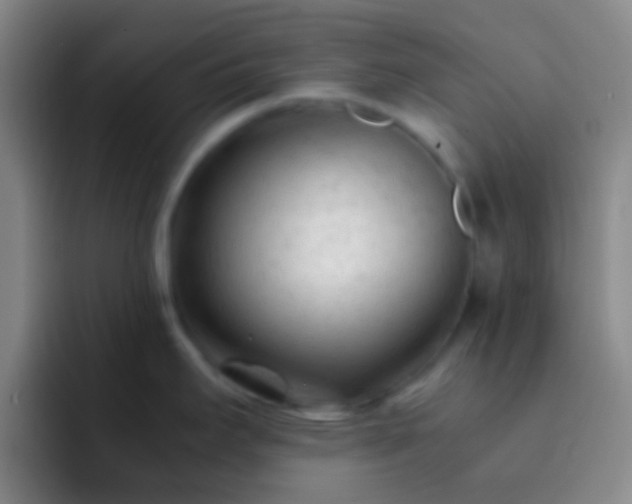 X0000092311295200709211242