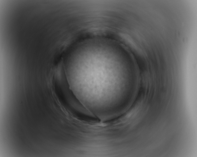 X0000092311298200709211242
