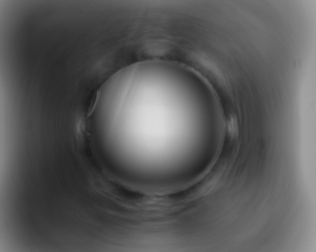X0000092311299200709211242