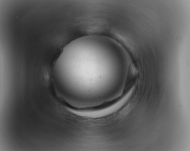 X0000092311300200709211242