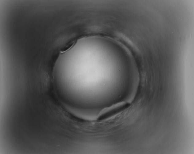 X0000092311303200709211242
