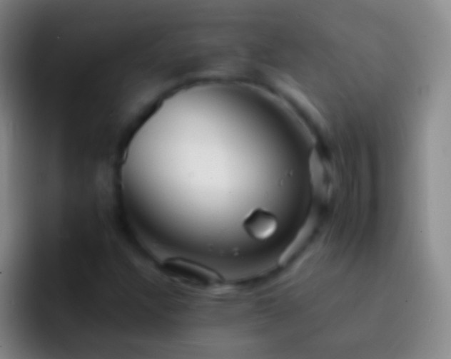 X0000092311304200709211242