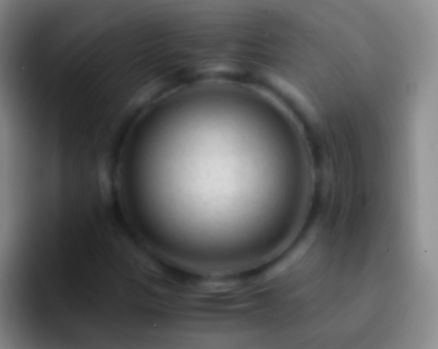 X0000092311305200709211242