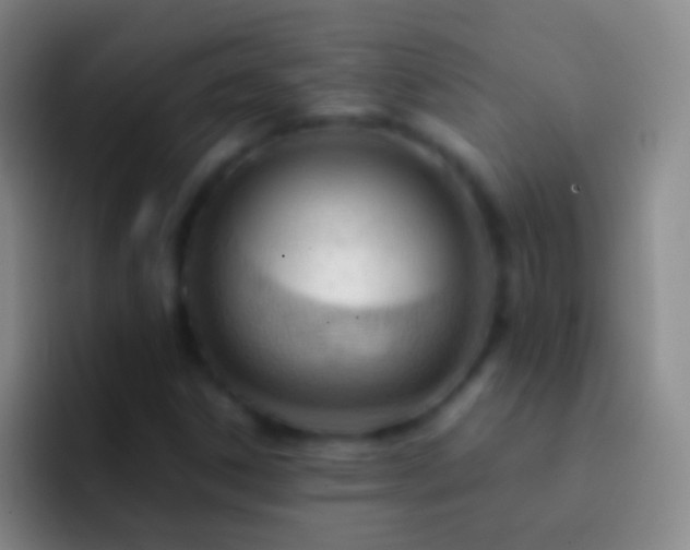 X0000092311306200709211242