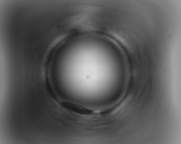 X0000092311309200709211242