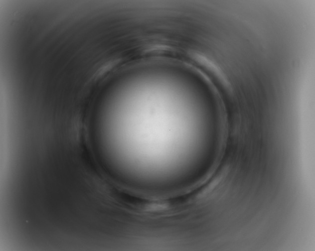 X0000092311313200709211242