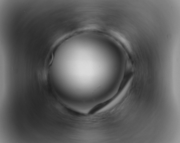 X0000092311316200709211242