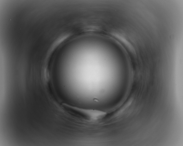X0000092311317200709211242