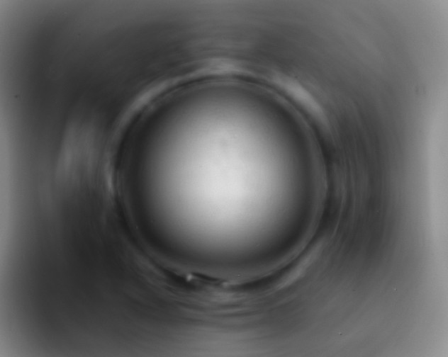 X0000092311318200709211242
