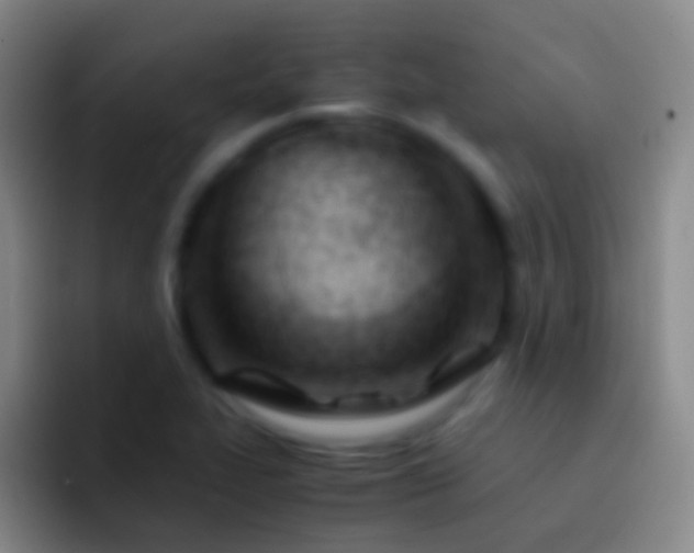 X0000092311319200709211242