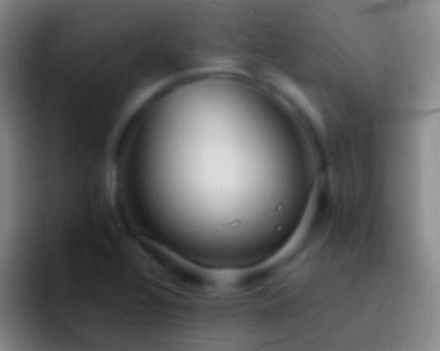 X0000092311320200709211242