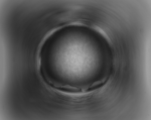 X0000092311323200709211242