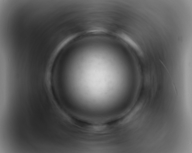 X0000092311325200709211242