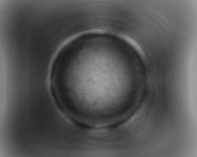 X0000092311327200709211242