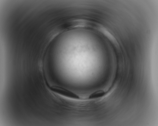 X0000092311329200709211242