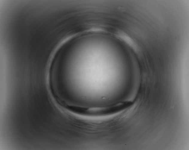 X0000092311331200709211242